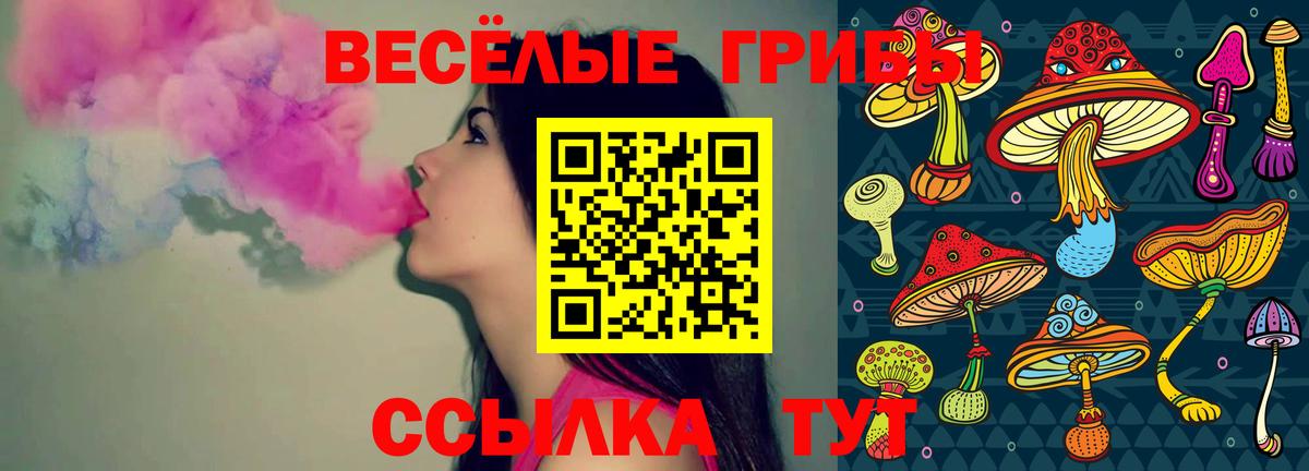 Полысаево  Галлюциногенные грибы мицелий  Вход с VPN 