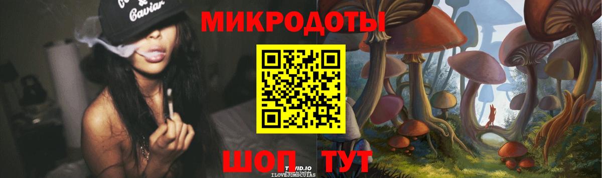Галлюциногенные грибы Psilocybine cubensis Полысаево